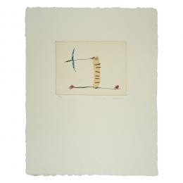 760   -  <p><span class="object_title">Josep Maria Riera i Aragó (Barcelona, 1954) <br/>Avió petit 6.</span>.<br></p>