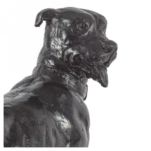 Escuela europea, s.XX. Perro. 