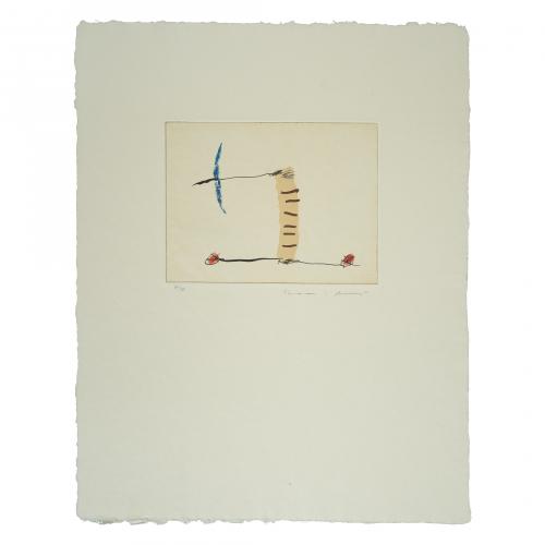 Josep Maria Riera i Aragó (Barcelona, 1954) Avió petit 6.