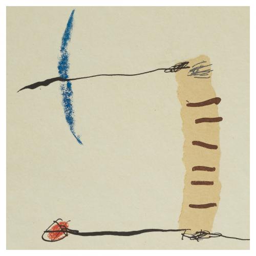 Josep Maria Riera i Aragó (Barcelona, 1954) Avió petit 6.