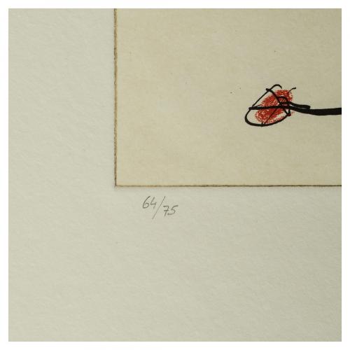 Josep Maria Riera i Aragó (Barcelona, 1954) Avió petit 6.