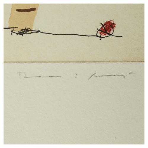 Josep Maria Riera i Aragó (Barcelona, 1954) Avió petit 6.