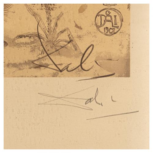 Salvador Dalí (Figueres, 1904-1989) Rhinoceros.
