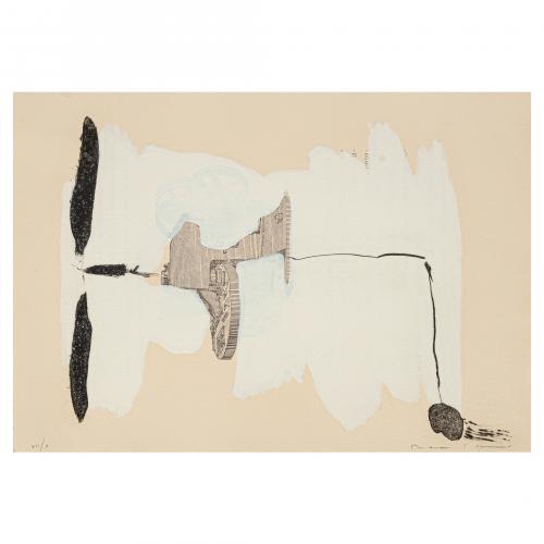 Josep Maria Riera i Aragó (Barcelona, 1954) Máquinas vola