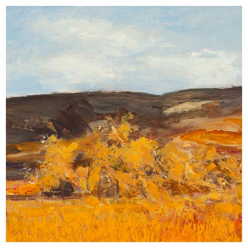 Carlo Lanini (Poppi, Arezzo, 1949) Campos de la Toscana. 